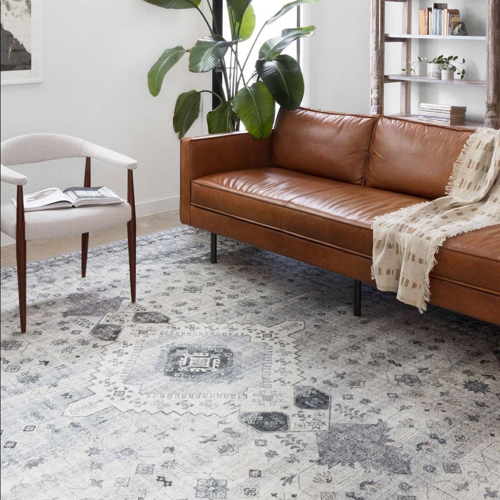 BNWT Loloi Skye Rug Silver Grey 4x6